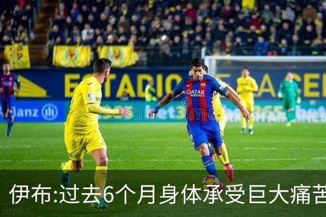 伊布:过去6个月身体承受巨大痛苦 只为帮球队夺冠